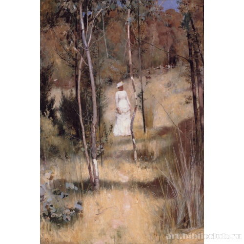 Летнее утро