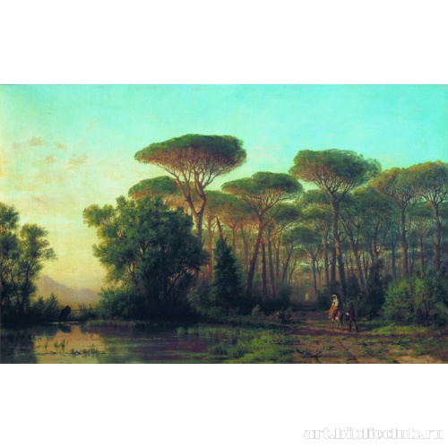 Дорога среди пиний