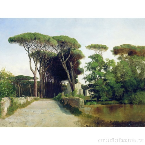 Аллея пиний