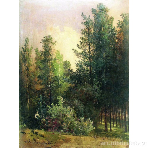 Полдень в лесу