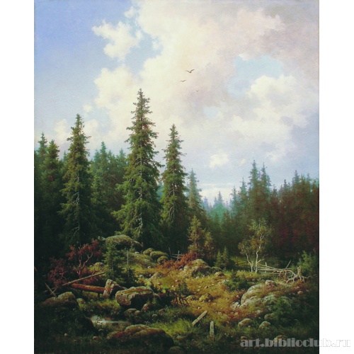 Пейзаж с елями