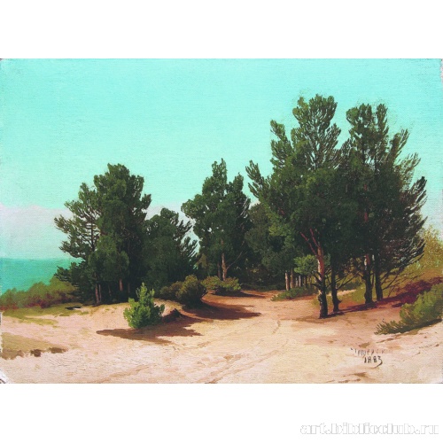 На берегу. Солнечный день