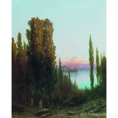 Вид турецкого города