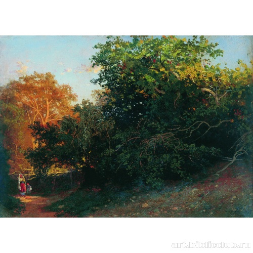 Лес у моря. Крым