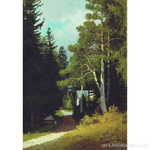 Лесной пейзаж