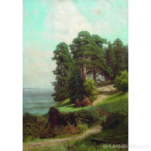 Обрывистый берег. Сосны