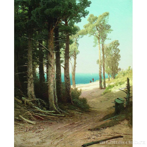 Солнечный день