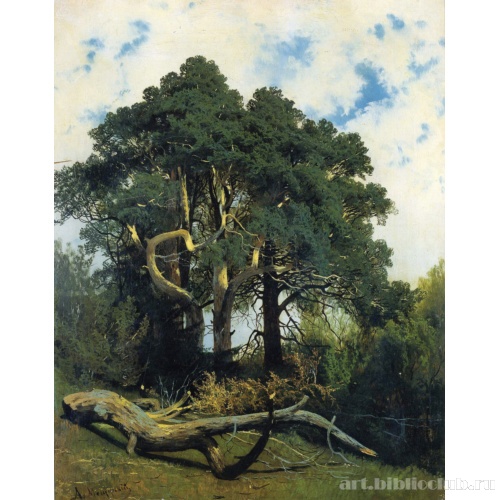 Пейзаж. Солнечный день