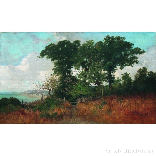 Возле моря. Пейзаж с изгородью