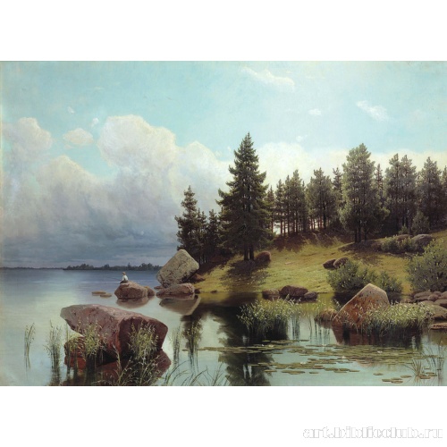 У лесного озера