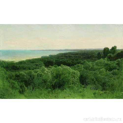 Лесные дали