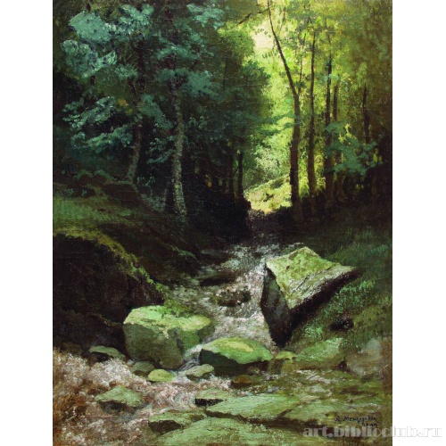 Лесной пейзаж с ручьем