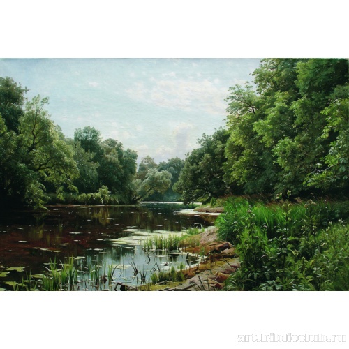 Заросший пруд