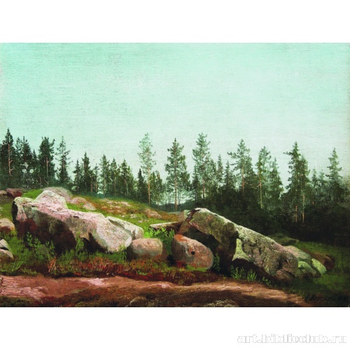 Лесной пейзаж с валунами