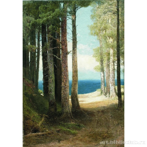 Сосны на берегу моря