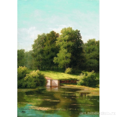 Заросший пруд