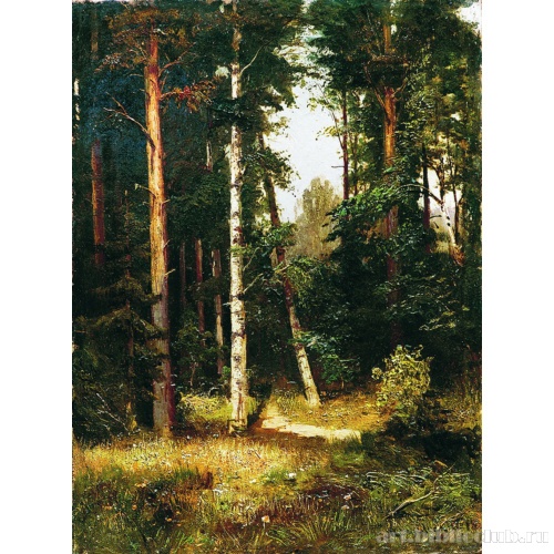 Тропинка в лесу