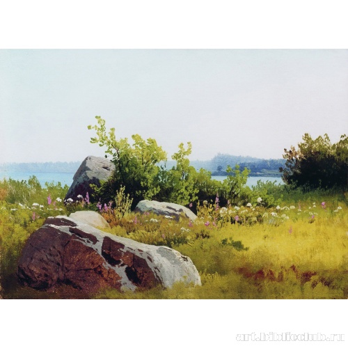 Летние травы