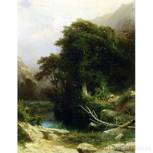 На Черной речке в Боржоми (Кавказ)