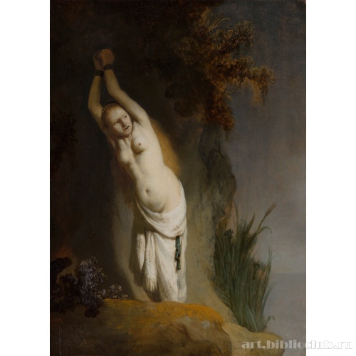 Андромеда, прикованная к скале