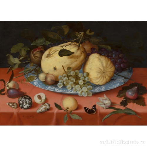 Натюрморт с фруктами, раковинами и тюльпаном