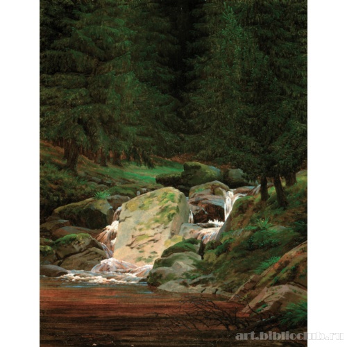 Сосновый лес с водопадом