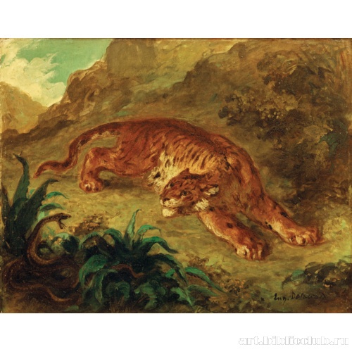 Тигр и змея