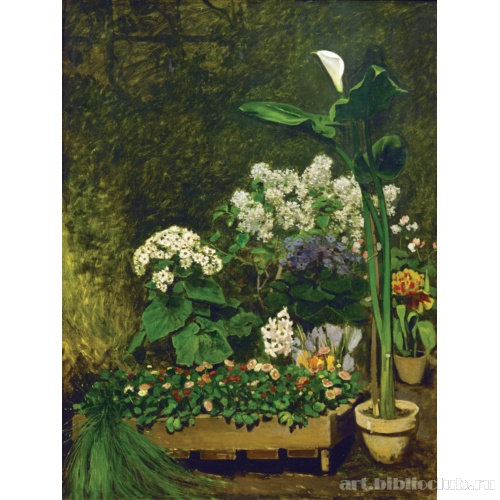 Весенние цветы в зимнем саду