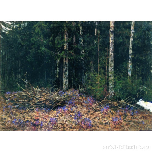 Весна в лесу