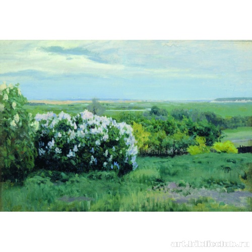 Весна. Кусты сирени