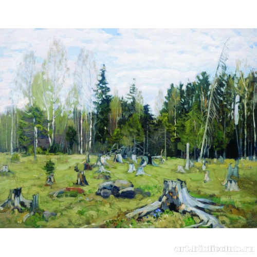 Лесная вырубка. (Сумерки)