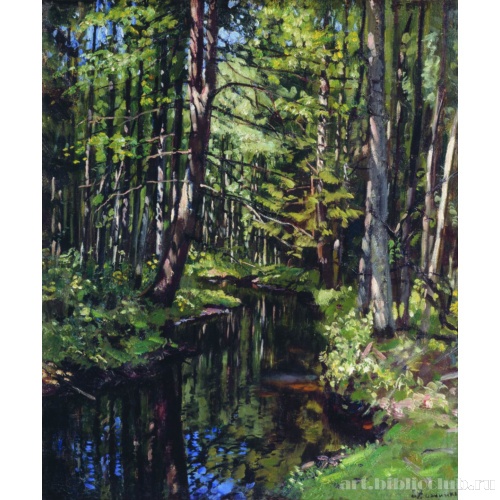 Лесная чаща. Речка