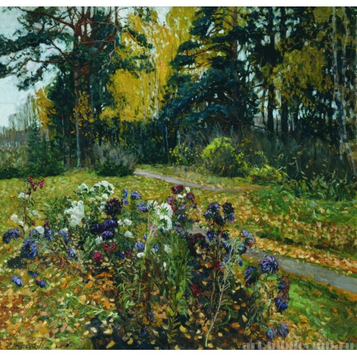 Последние астры