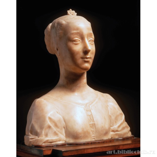 Бюст молодой женщины