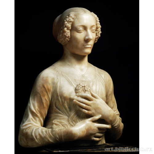 Дама с прекрасными руками