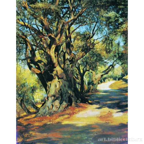 Дорога из Рима в Альбано