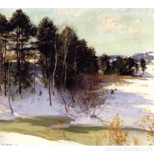 Застывший пруд