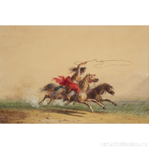 Заарканивание диких лошадей