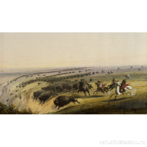 Охота на бизона