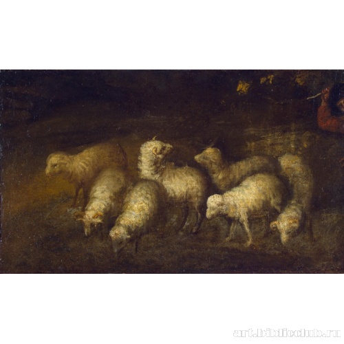 Овцы на водопое