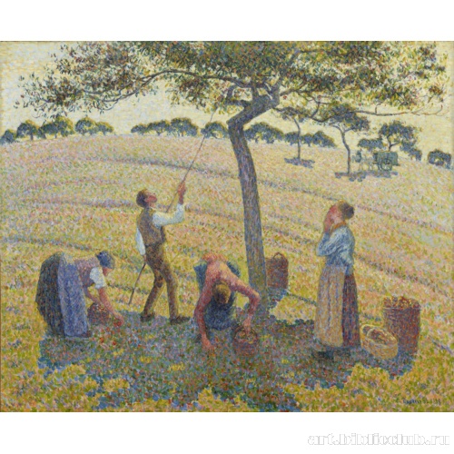 Сбор яблок в Эраньи