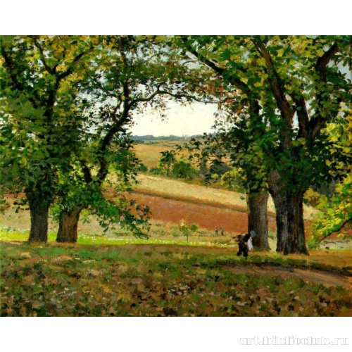 Каштаны в Овсни