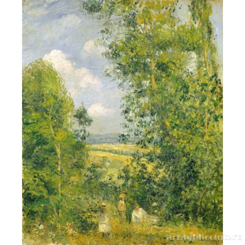 Отдых в лесу. Понтуаз