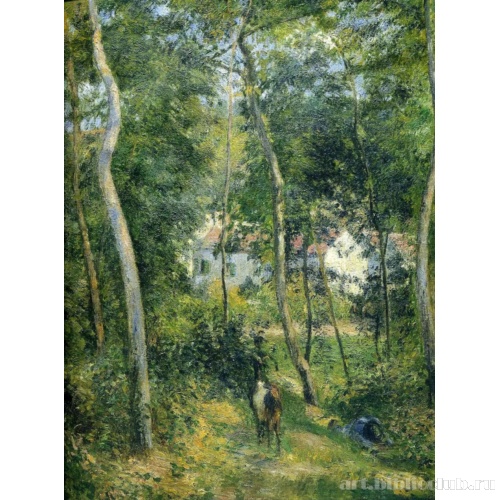 Подлесок в Понтуазе