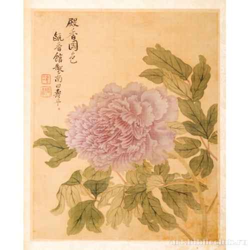 Пион. Альбомный лист из серии «Цветы-птицы»