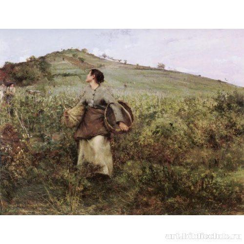 Сбор урожая