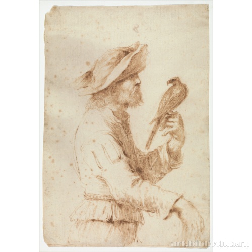 Сокольничий в профиль справа