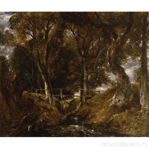 Лощина в Хелмигхемском парке