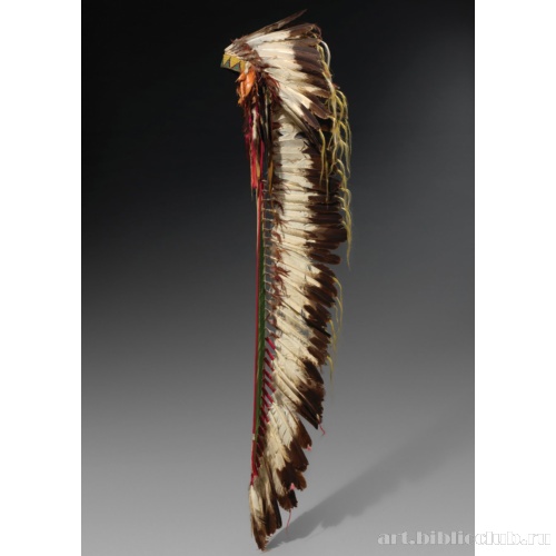 Головной убор из перьев птиц