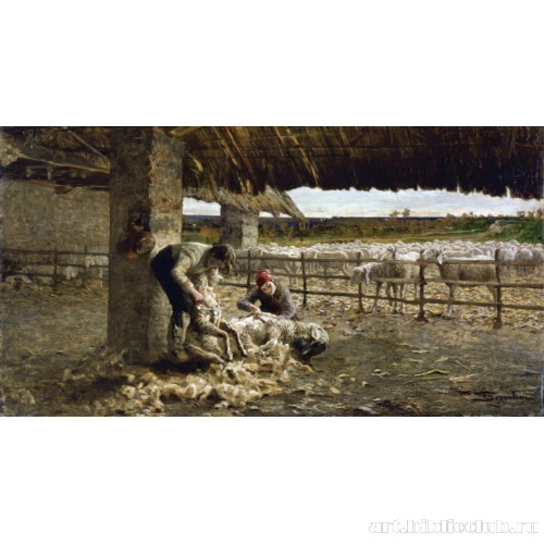 Стрижка овец